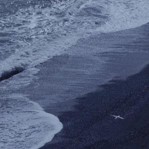 大连歌迪丝sVK视频
