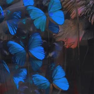 大连歌迪丝sVK视频
