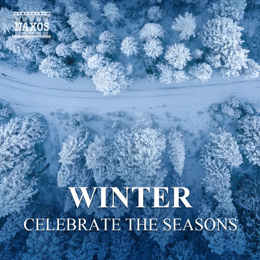 大连歌迪丝sVK视频
